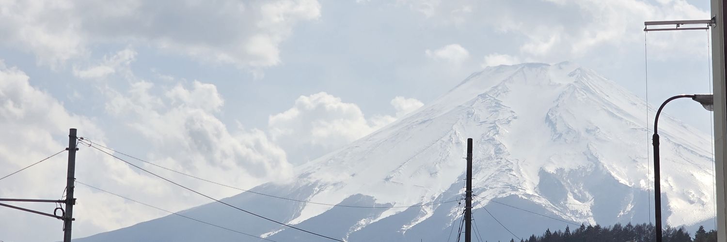 Geegi Sugar's banner