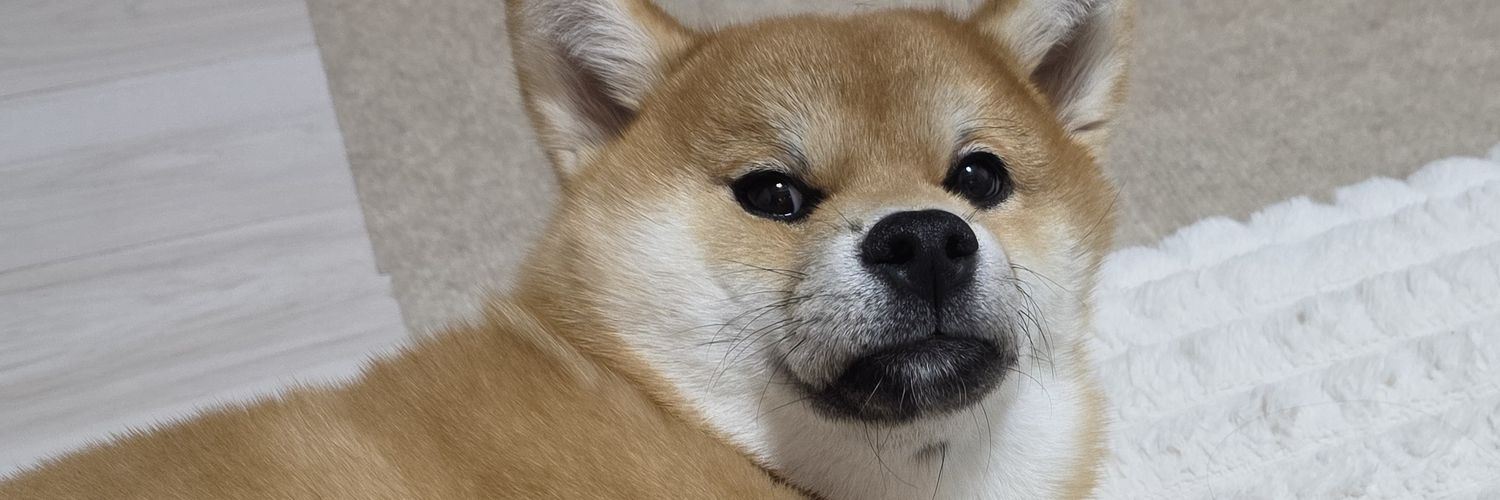 ぽんず｜野球好きの柴犬🦅's banner