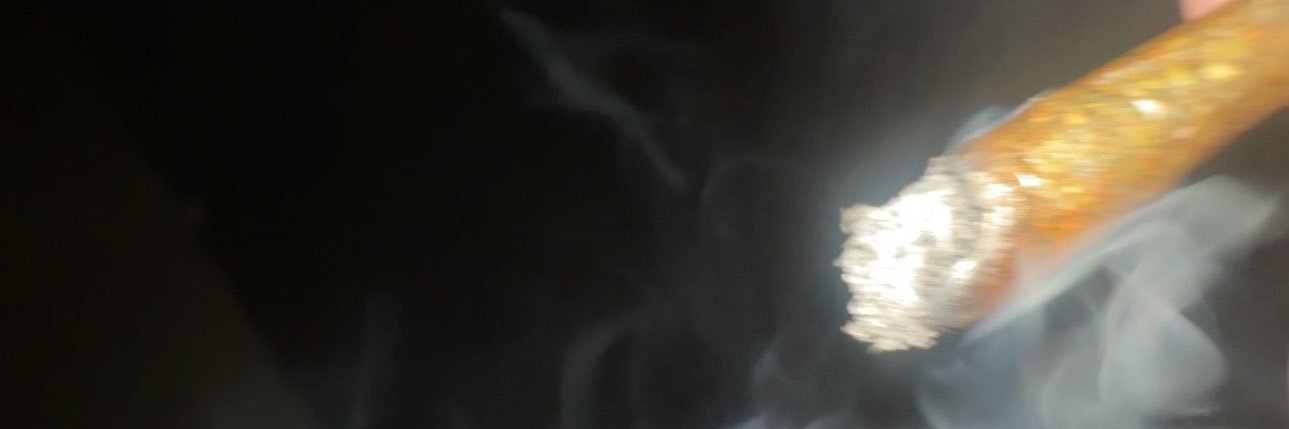 dani ✮'s banner