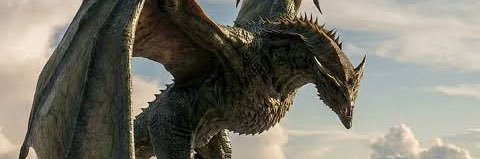 VERMAX 🐉✨'s banner