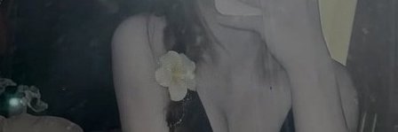 Maya363 台灣交流💬's banner