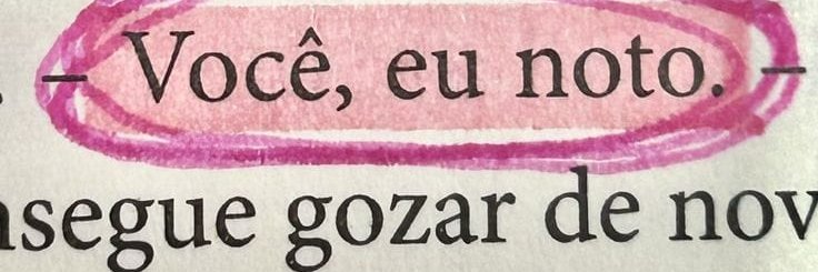 Literata Gostosa's banner