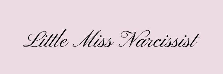 princess ash 𝜗𝜚's banner