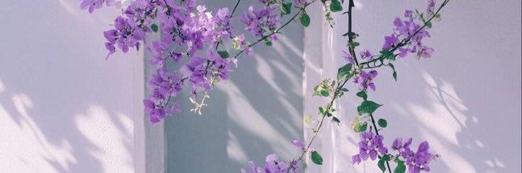 i wish.. 🍀☁️'s banner
