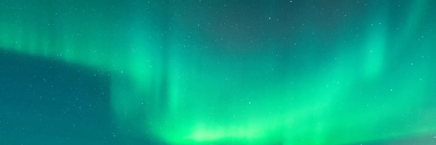 ro ᶻ 𝗓 𐰁 🍃's banner