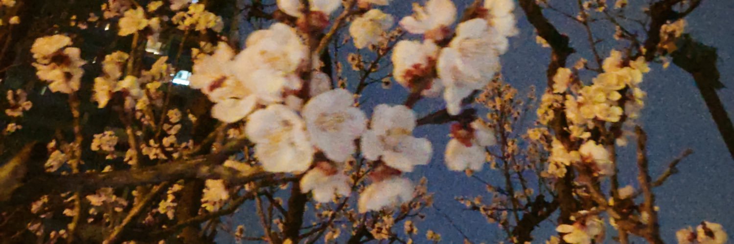 少主's banner