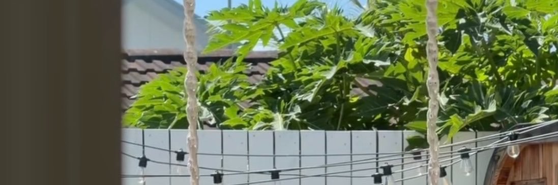 Fat Ass Sid's banner