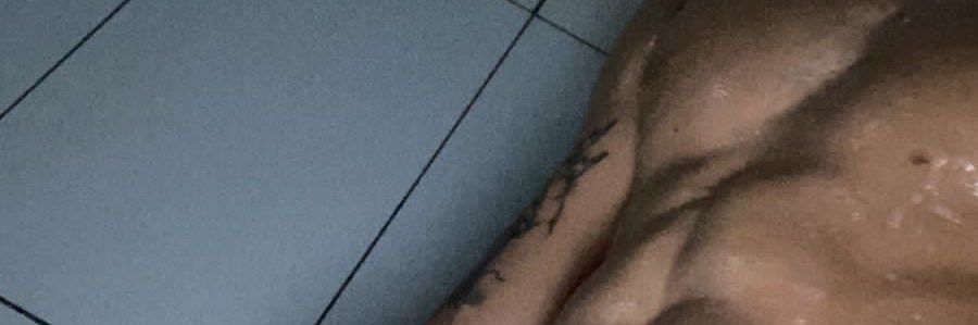 novinho 🐴's banner