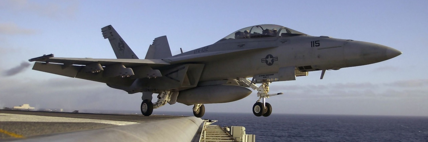 Grumman F-14 "Tomcat"'s banner