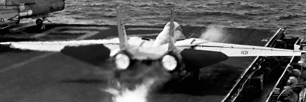 Grumman F-14 "Tomcat"'s banner