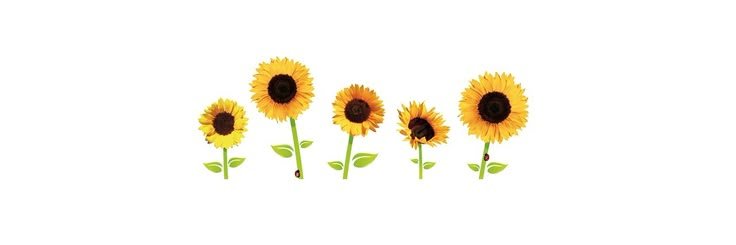 maisie's banner