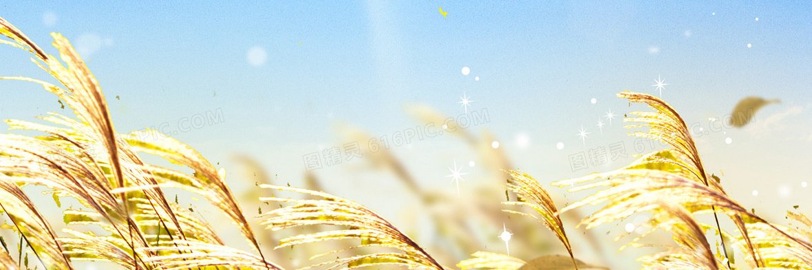 loveabit's banner