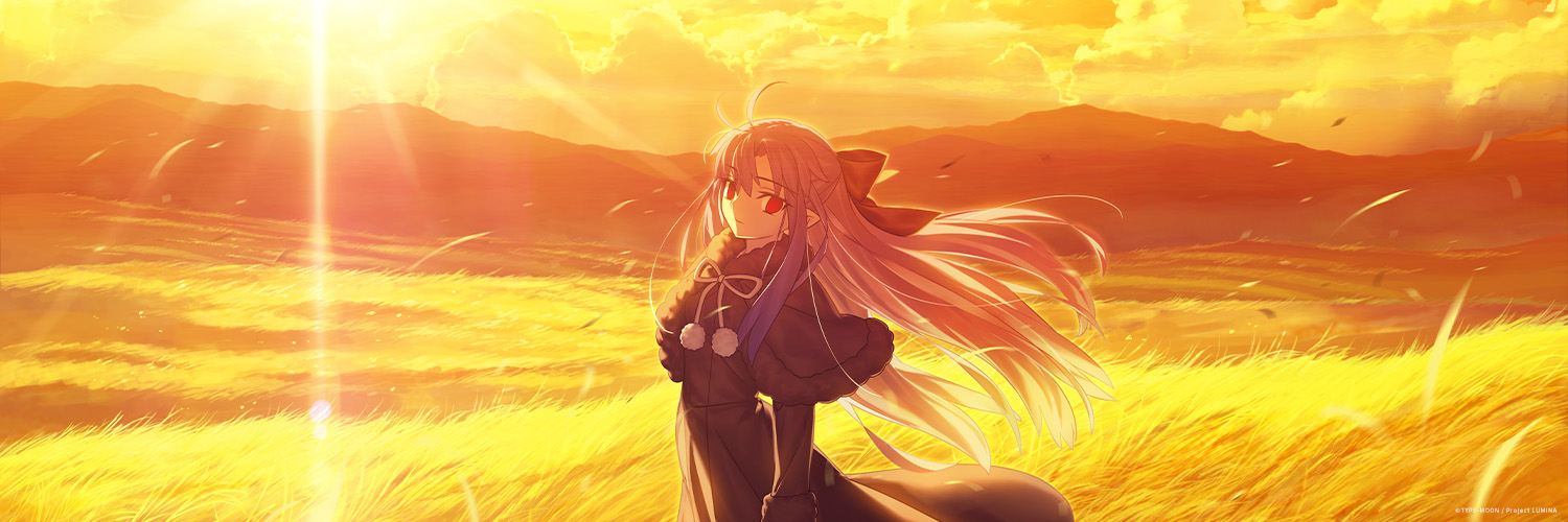 MELTY BLOOD: TWI-LUMINA's banner