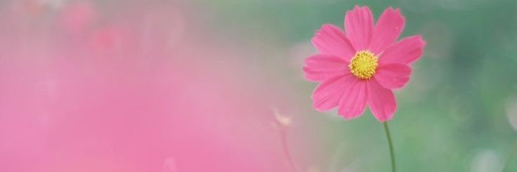 Emily ✨'s banner
