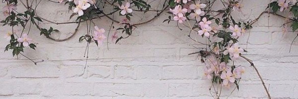 Aria🎀's banner
