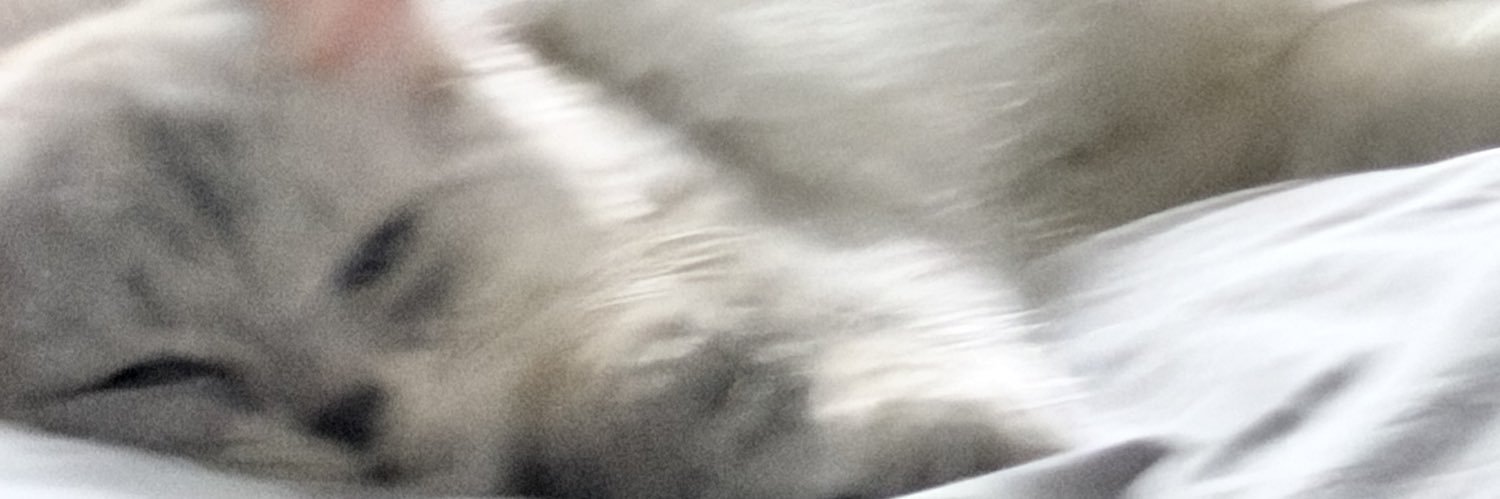 Mawgn's banner