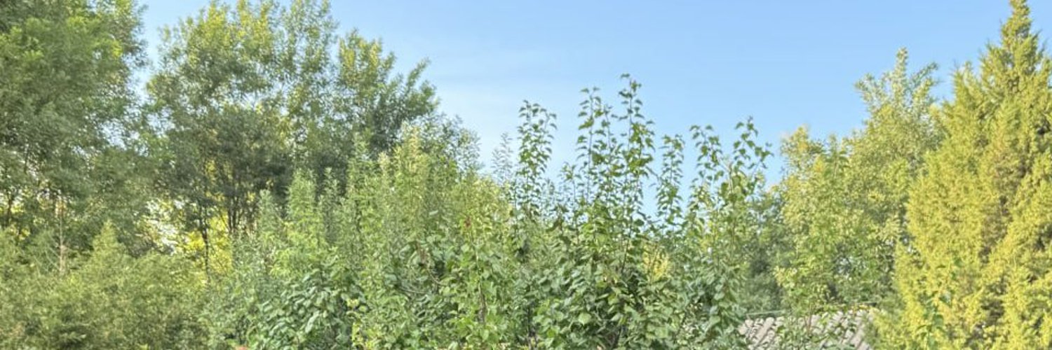 戚Mochi浪荡's banner