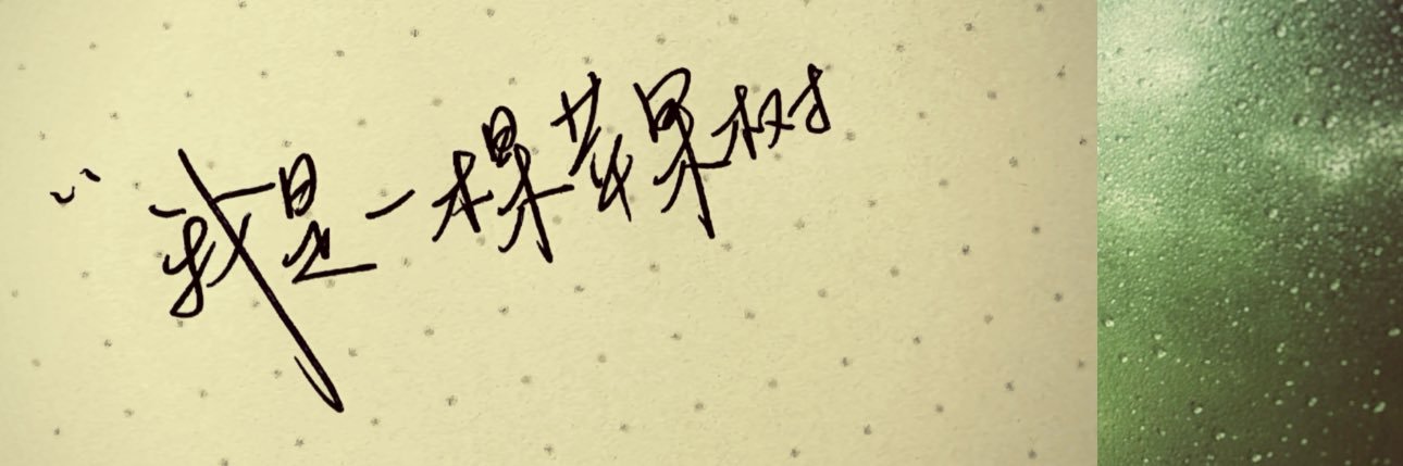 苹果树's banner