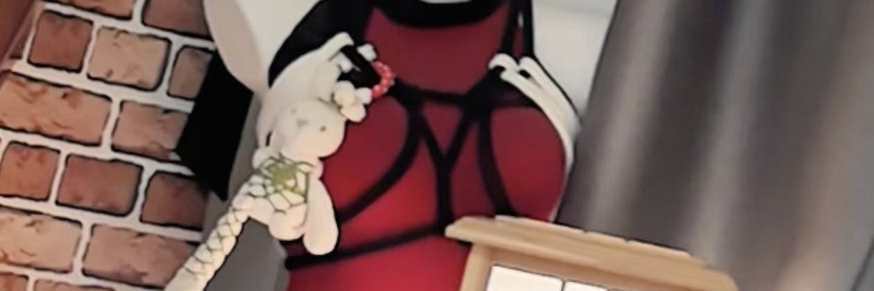 Li's banner