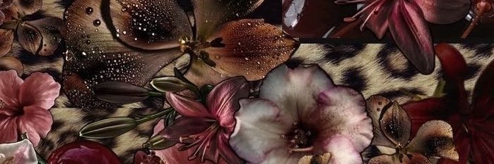 PrettyprincessX's banner