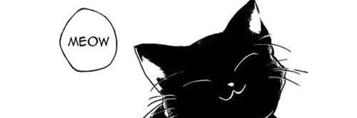 Meowsy's banner