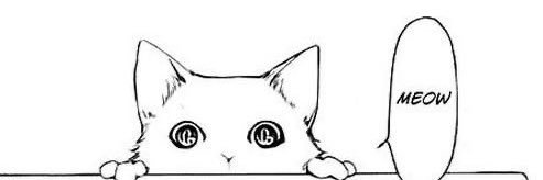 Meowsy's banner