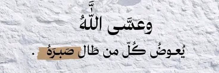 Amira Mohamed's banner