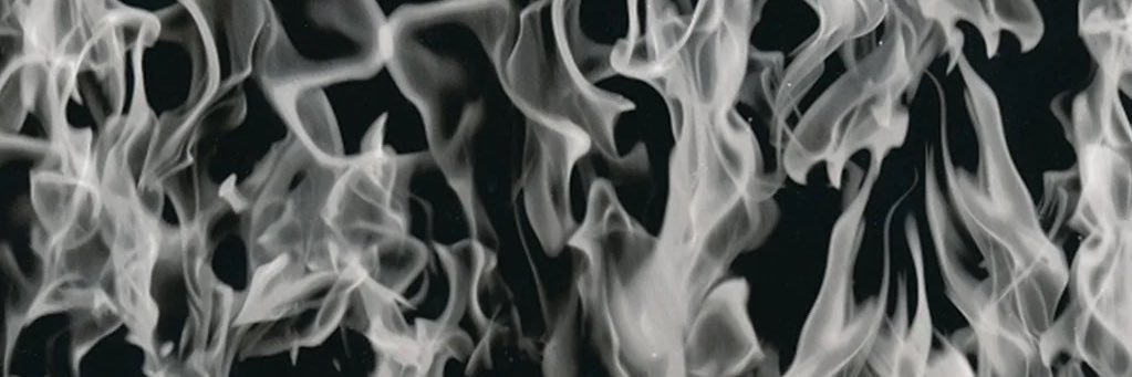 Twizzy's banner