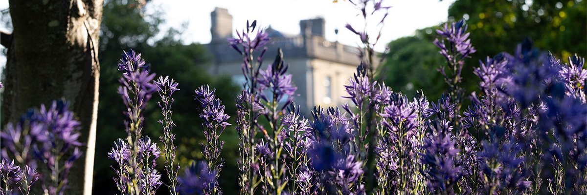 Highgrove Gardens's banner