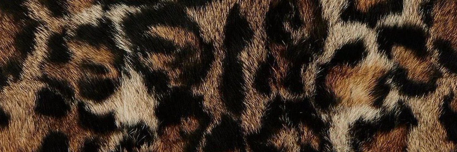 ICY⋆˙⟡'s banner