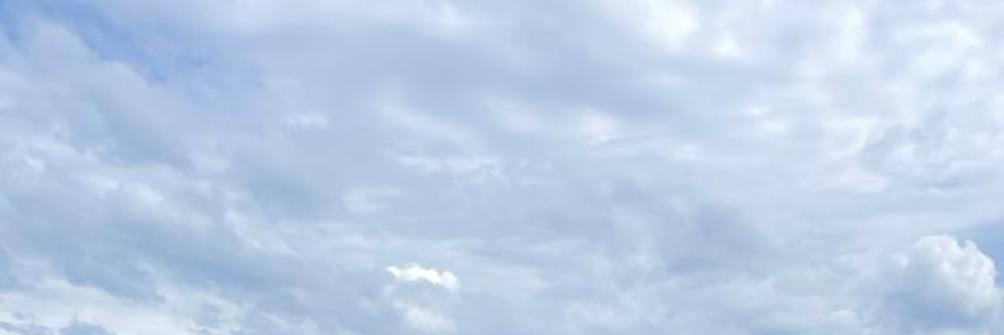 Dannap's banner