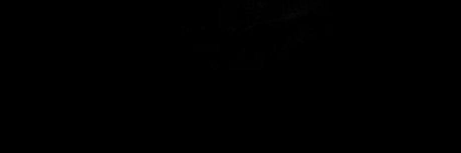 Veltrx's banner