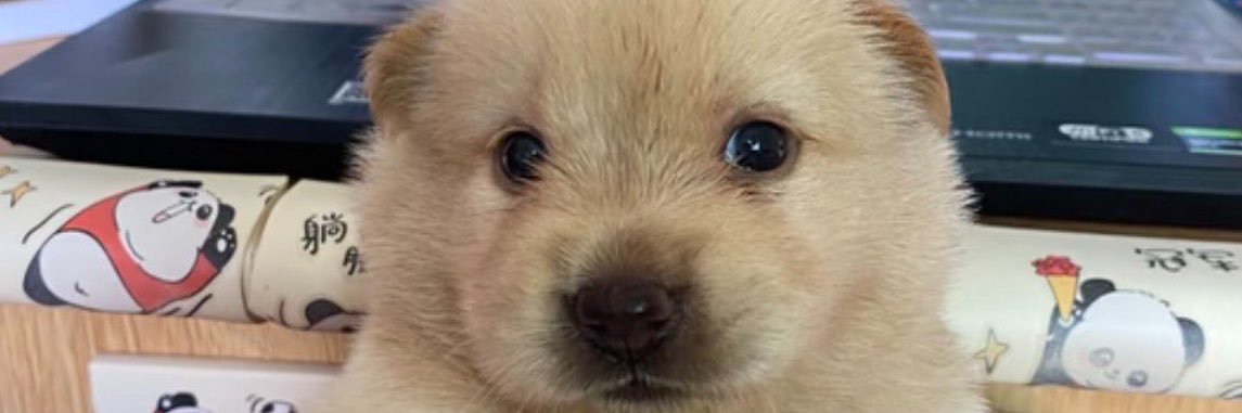 AbiggerChris's banner