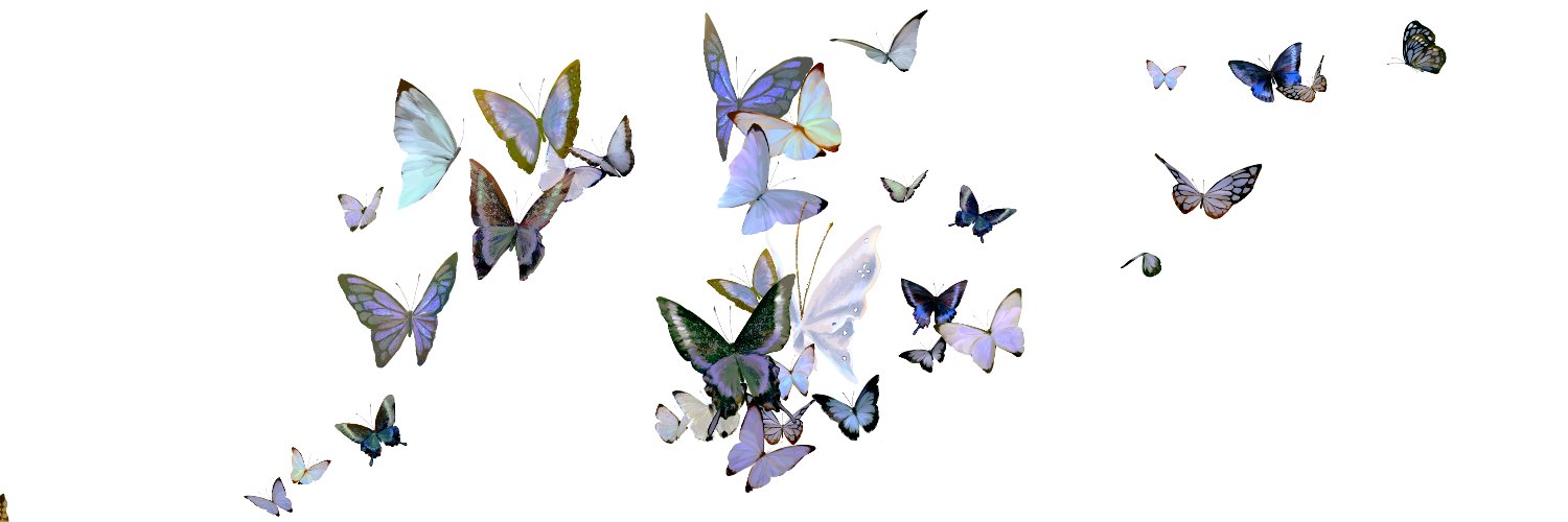 CIEL Information's banner