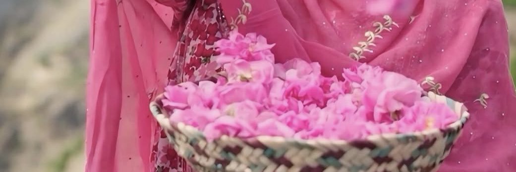 أثيــر ✨'s banner