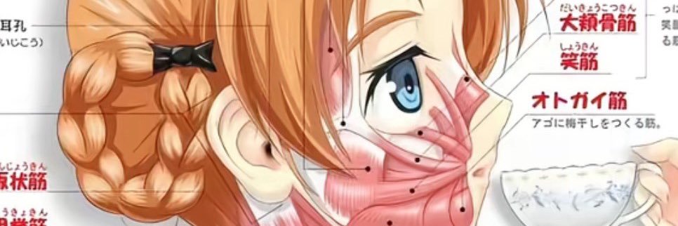の's banner