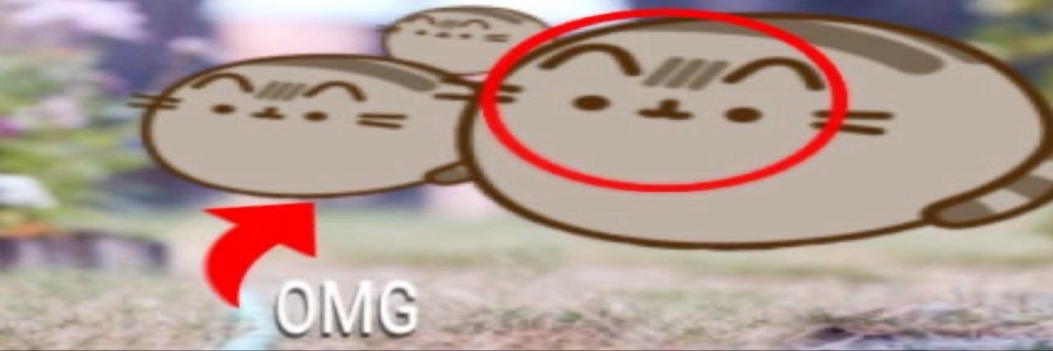 pusheen sophie's banner