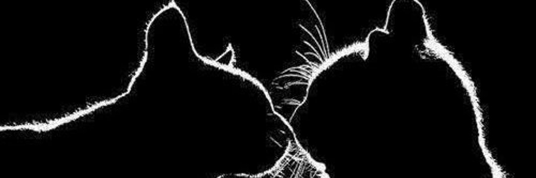 PSYOP's banner