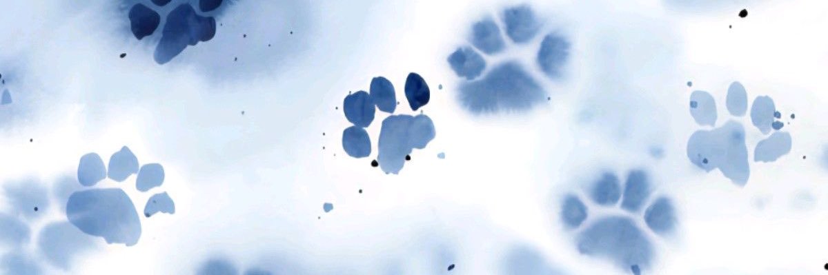 ⋆˚🐾 nova !'s banner