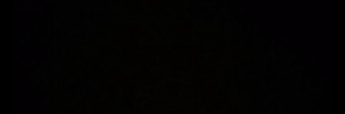 . TRŌ 🏄🏻‍♂️ .'s banner