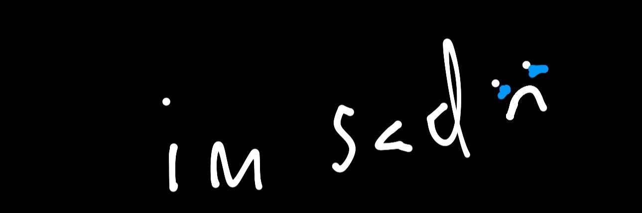 cat's banner