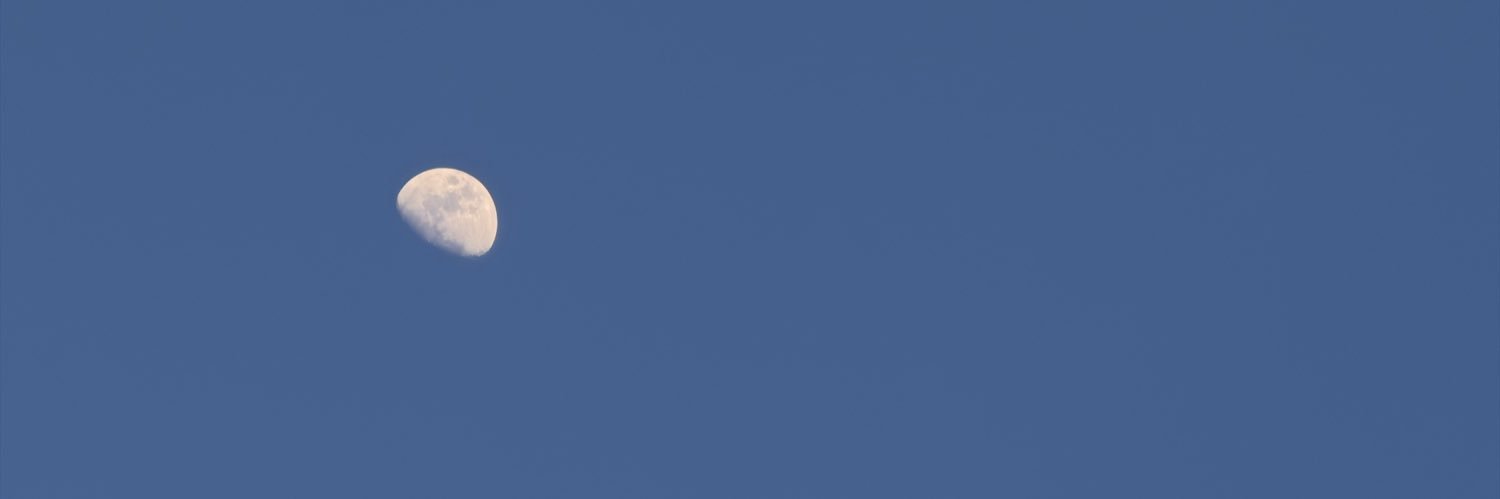 yu⋆'s banner