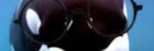 Orca's banner