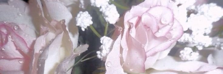 𝓀𝒾𝓉𝓉𝒾𝑒🐾ᛝྀིྀི's banner