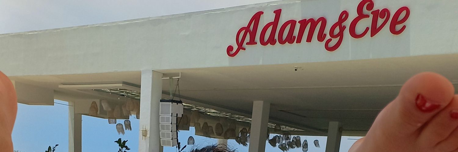 Leyla arda's banner