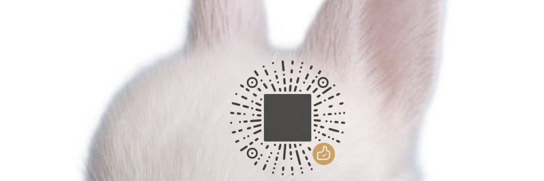 bibilabuouo's banner