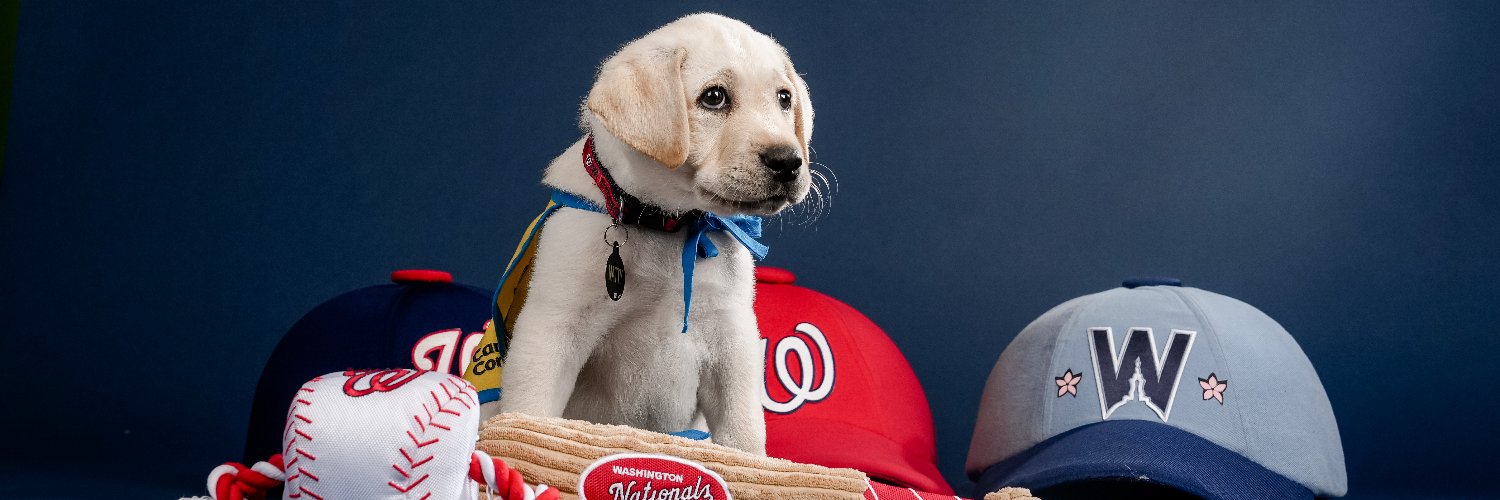 natty's banner