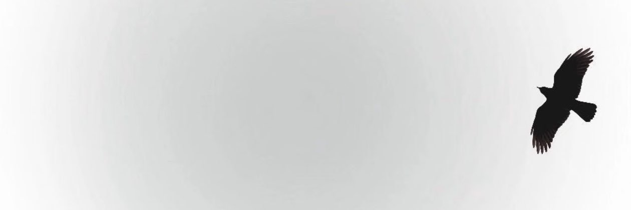 最可爱的Y's banner