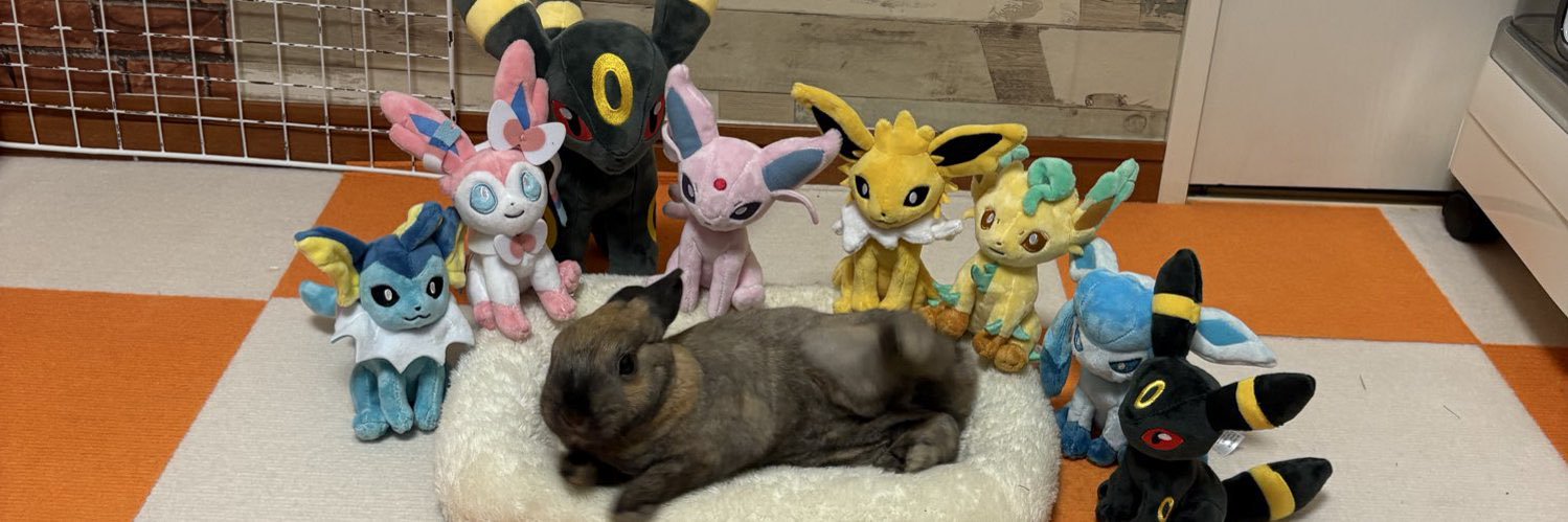 カエル🐰ツルギ's banner