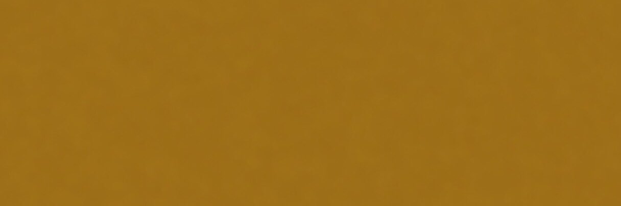BIG BULL's banner